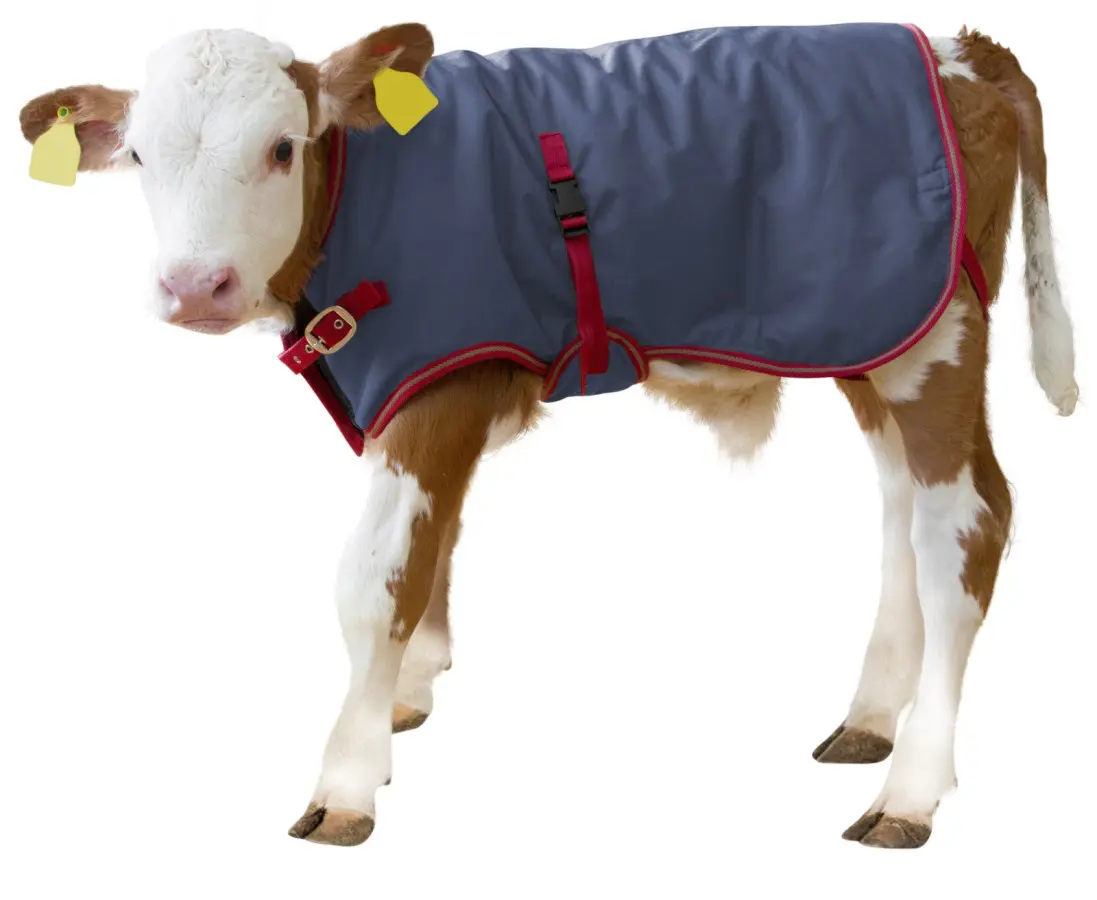 Kerbl ThermoPlus Calf Jacket 80cm