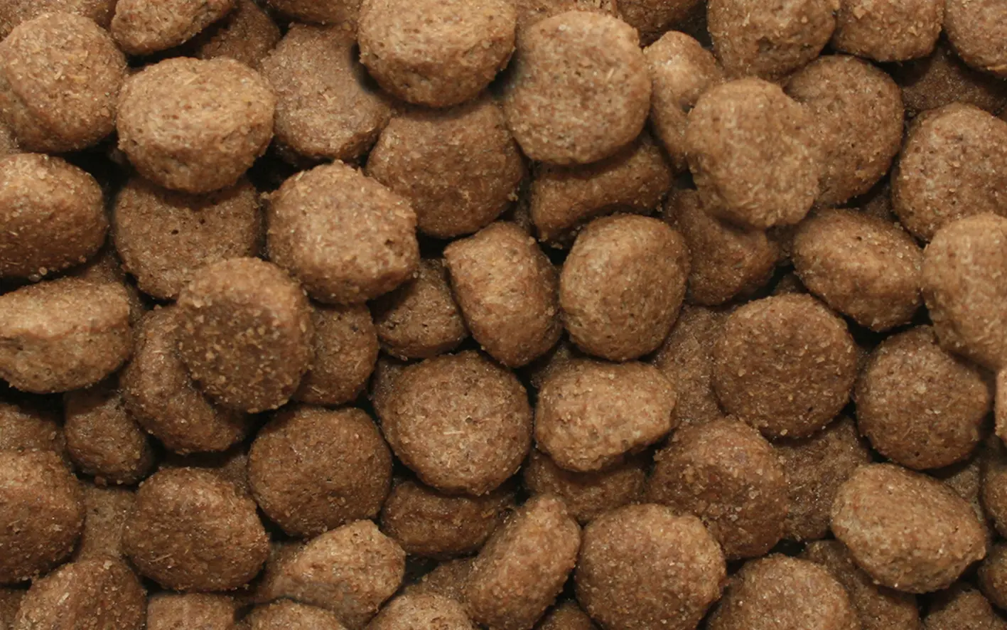 Dr John Hypoallergenic Chicken With Oats 4kg - Image 3